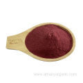 Nutritional Supplement Organic Beet Root Juice Powder